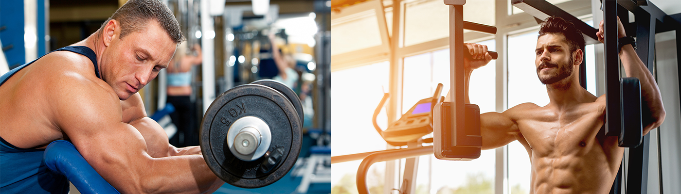 muscle building arm workout | Optitect Health